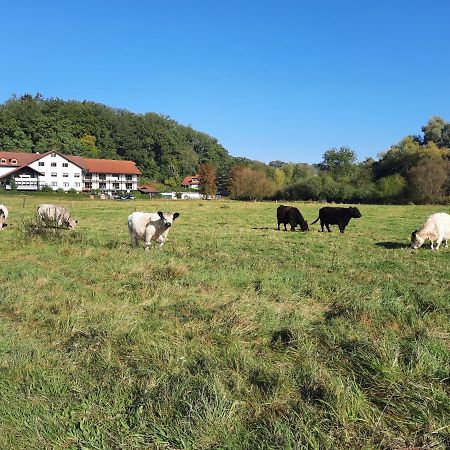 Landgasthof Rotlipp Gaestezimmer Ortenberg  Buitenkant foto
