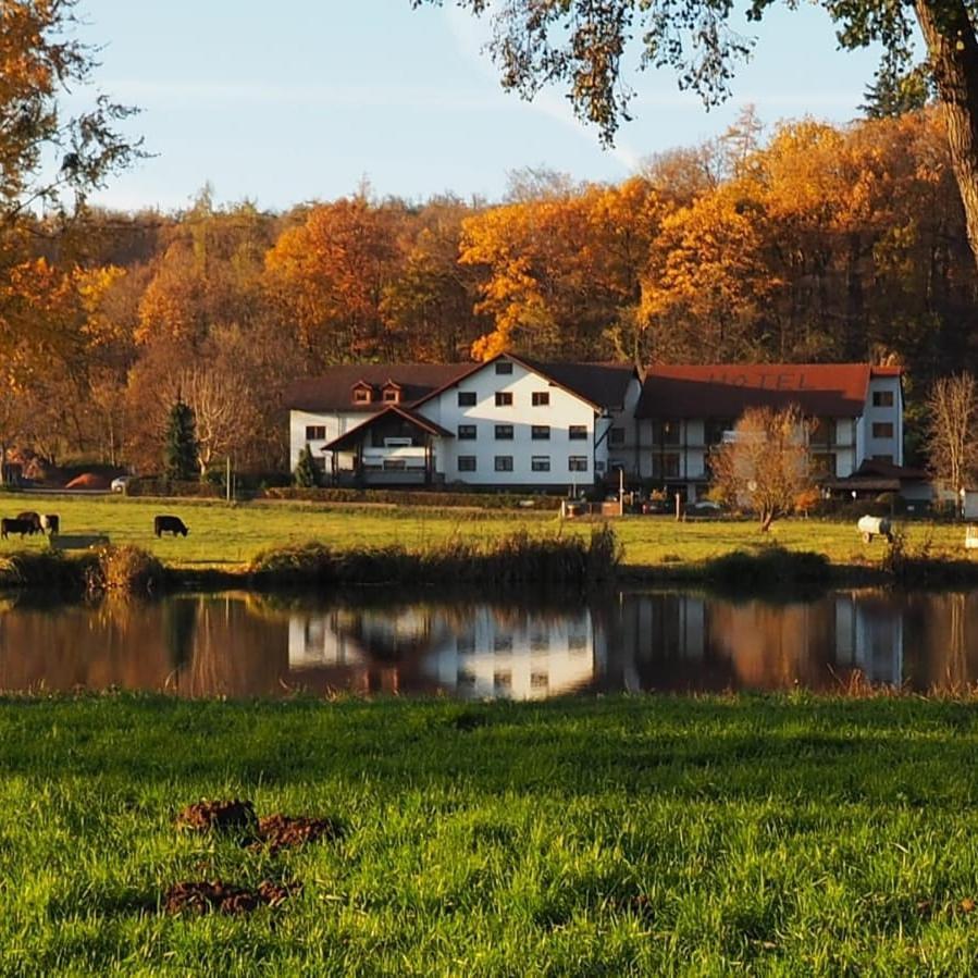 Landgasthof Rotlipp Gaestezimmer Ortenberg  Buitenkant foto