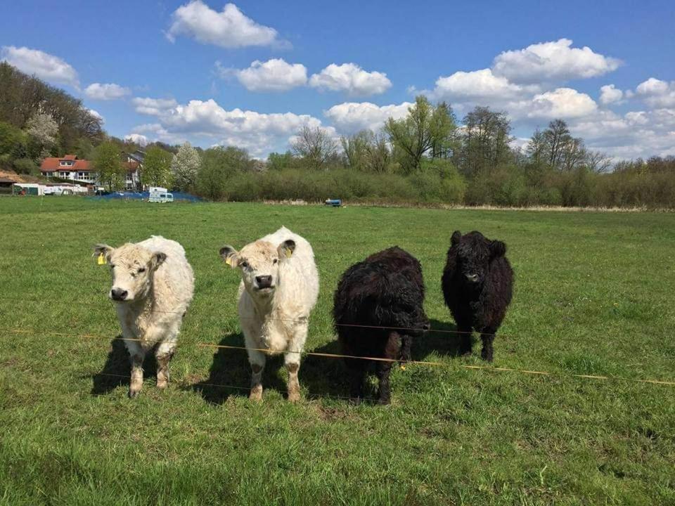Landgasthof Rotlipp Gaestezimmer Ortenberg  Buitenkant foto