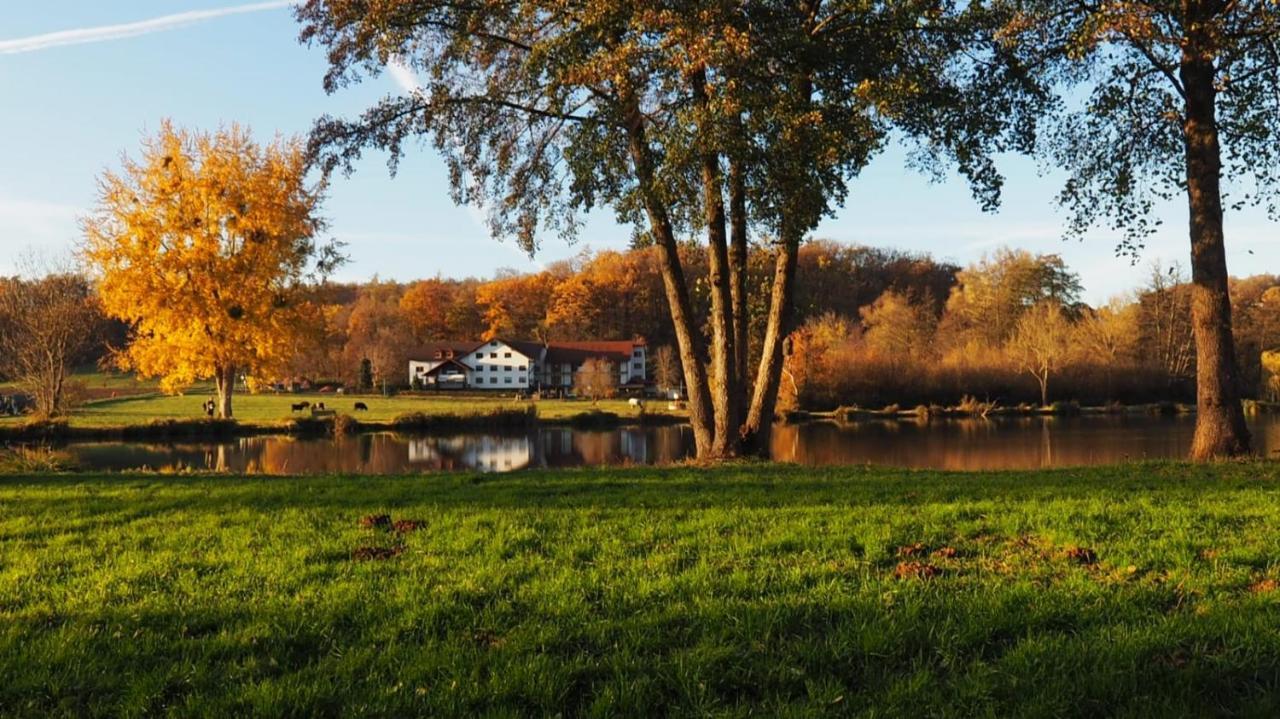 Landgasthof Rotlipp Gaestezimmer Ortenberg  Buitenkant foto