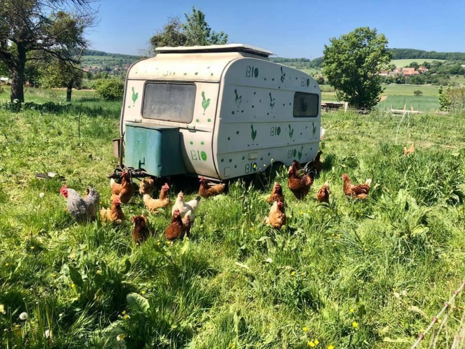 Landgasthof Rotlipp Gaestezimmer Ortenberg  Buitenkant foto