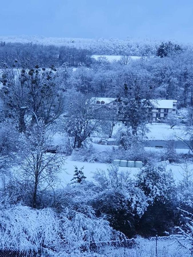 Landgasthof Rotlipp Gaestezimmer Ortenberg  Buitenkant foto